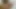 Trans Newly Operated In Tantric Erotic Massage Session With Happy Ending