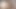 Amateur 2 weiße Mädchen mit BBC