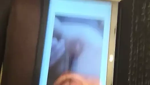 Soluk kesilmiş bir kedi için haraç