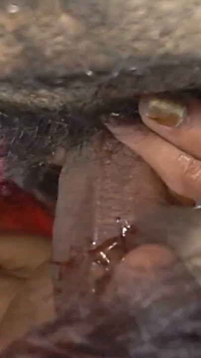 Savage Intimacy: Choclate Dick Oral Sex | Đoạn 1