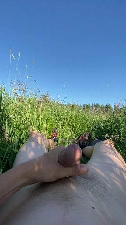 The tall grass