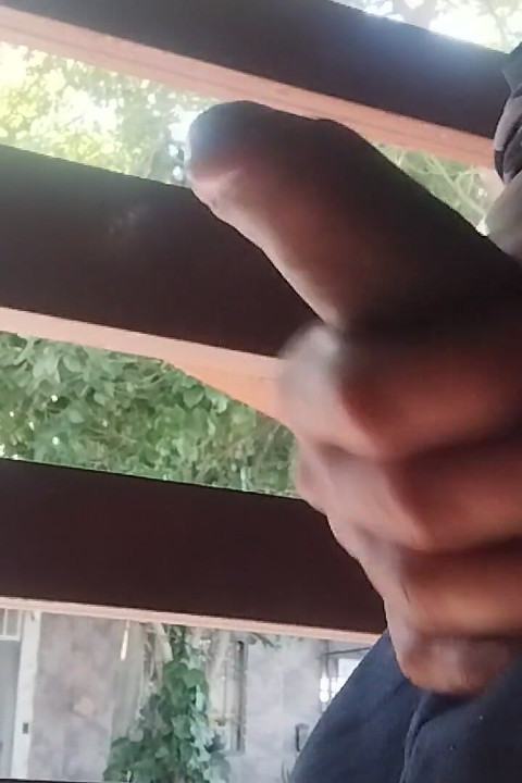 Sua Ereção de Bom Dia