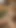 Rapunzel mastürbasyon yapıyor yapay zeka hentai inliyor gerçekçi ctx 2026 derlemesi | Klip 3