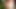 Handjob of August 13, 2020.