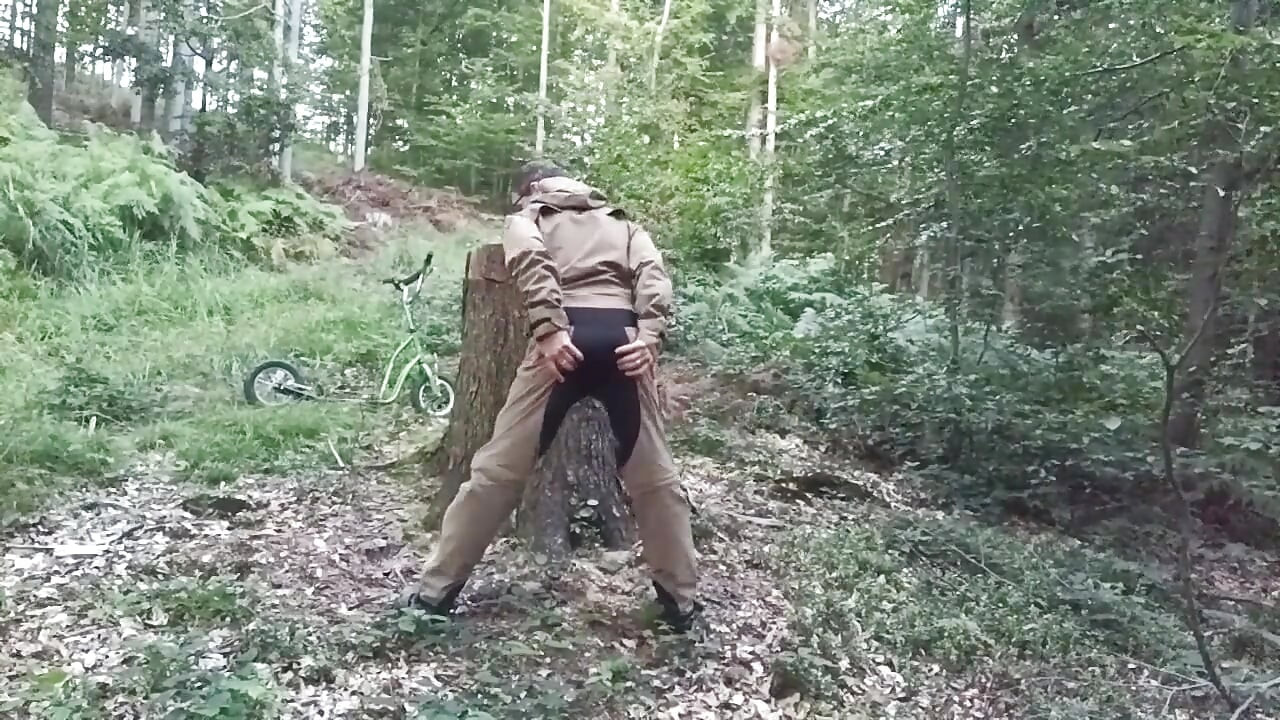 Stump Chase, Part One