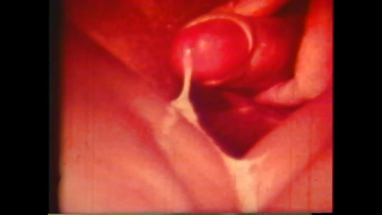 A excitadora de porcos