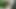 German boy self facial in the woods self facial cum