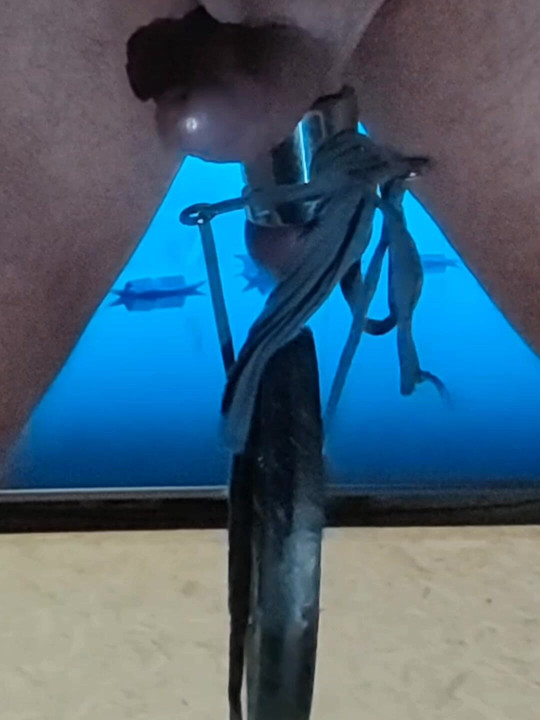 Malangnya, saya tidak boleh membawa lebih daripada 5 kg lagi.