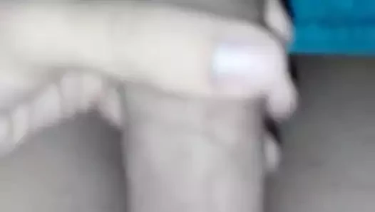 Pollon