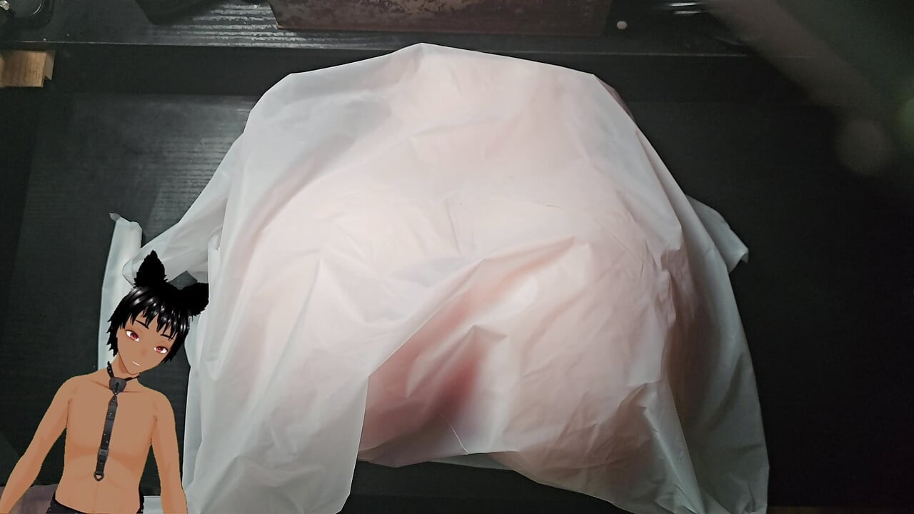 Should you put your dick in it!? - Got a new toy and it is heavy