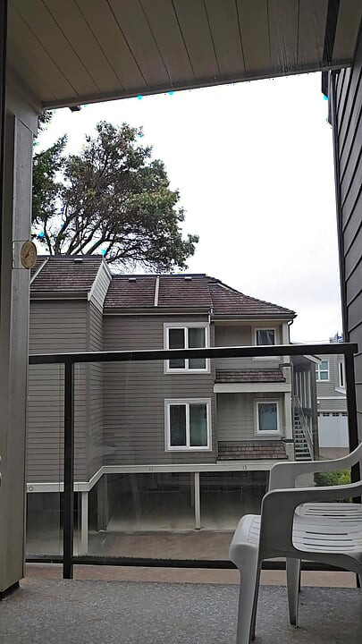 Walking Around Parksville Rental