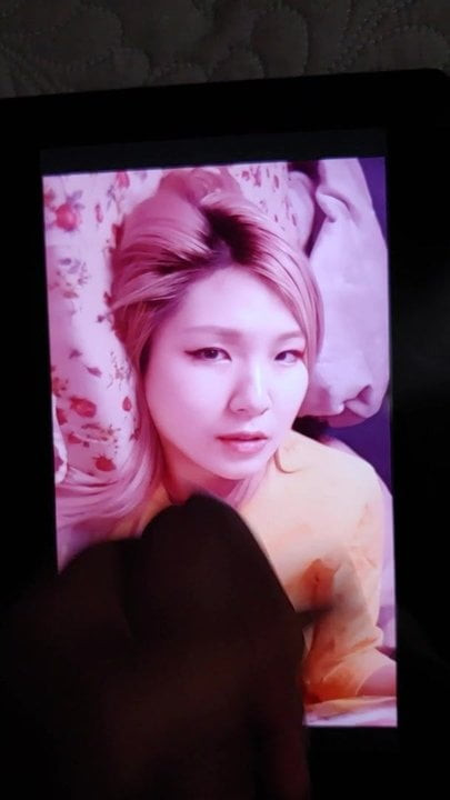 Hachubby cum tribute