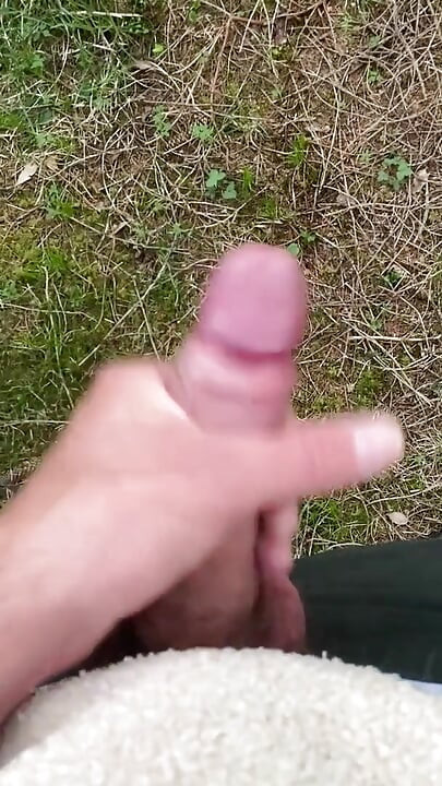 Élvezés az erdőben