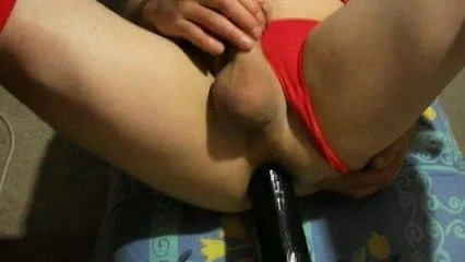 토요일에 헛간에서 남편