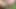 Ailem evimden dışarı çıkarken çok ateşli üvey kız kardeşimi siktim