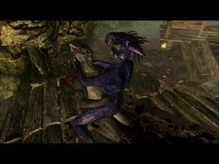 Khajiit 3