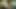 From the Czech Republic Sonja the Blonde Who Became a