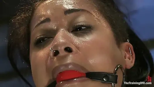 Skin Diamond-day 4 Intense Predicament Bondage & Non-stop Orgasms Pushes Ash Over the Edge
