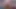 Sissy Femboy Cumshot