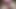 Edging oiled big cock cumshot 783