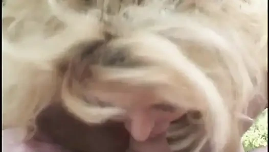 Blonde MILf, ordentlich rasierte fotze wird von einem hengst auf einem rasenstuhl gefickt