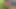 You won't believe close-up
