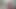 (kalkgitkumdaoyna)alin size video... here is the cock