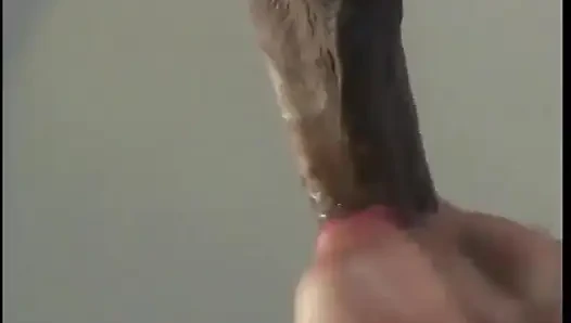 Koca sikli adam ateşli sarışının ağzını sikiyor, yatakta amcığını sikiyor