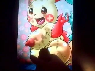Kai vs. Plusle !