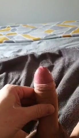 Tribute # 154