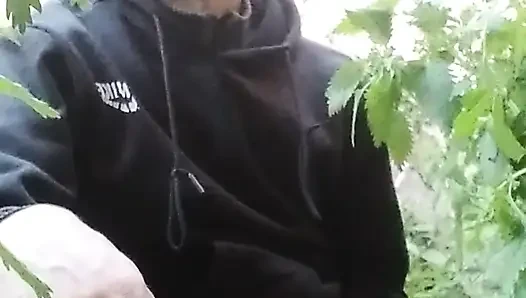 My hirny cock cumshoting