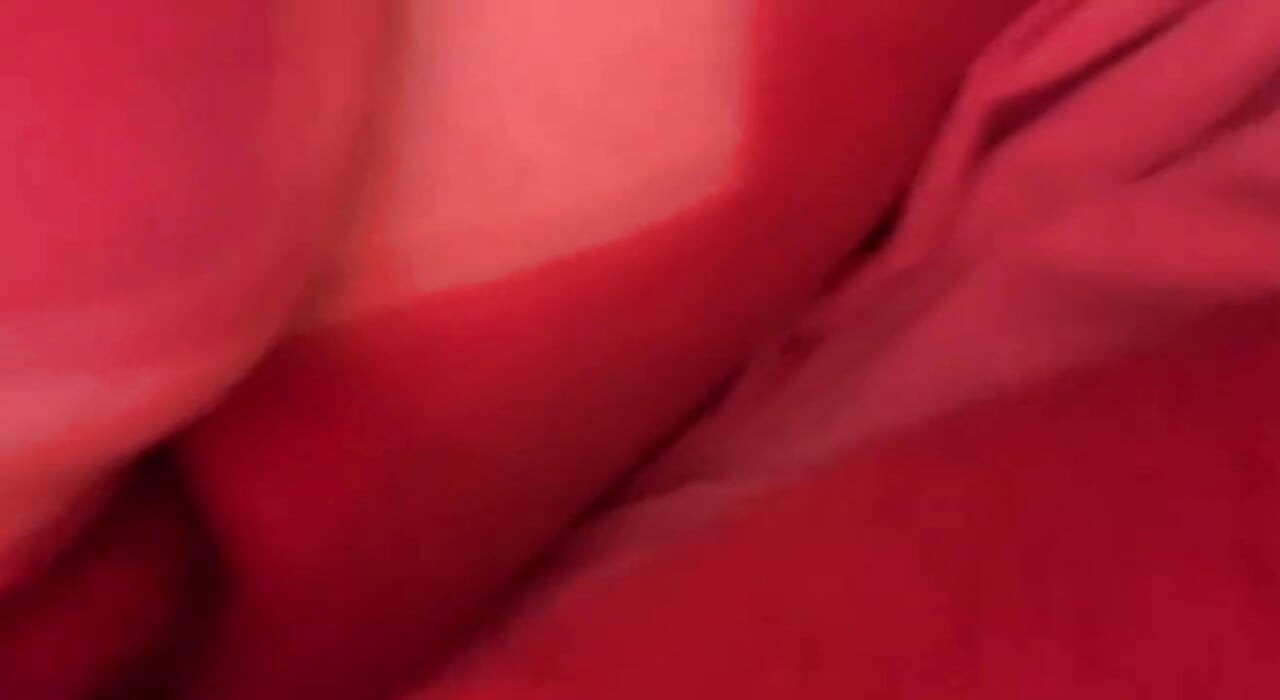 我的新年輕公牛