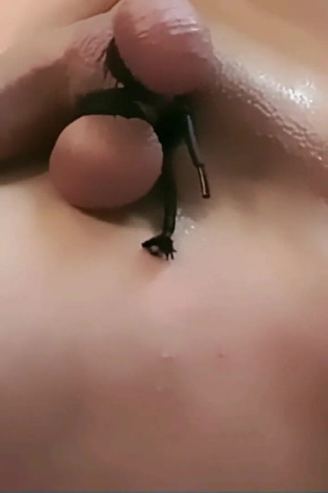 Sissy Slut Symphony: the Ultimate Golden Shower & Music Ruin