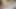 مصاص دماء آسيوي يفضل نائب الرئيس