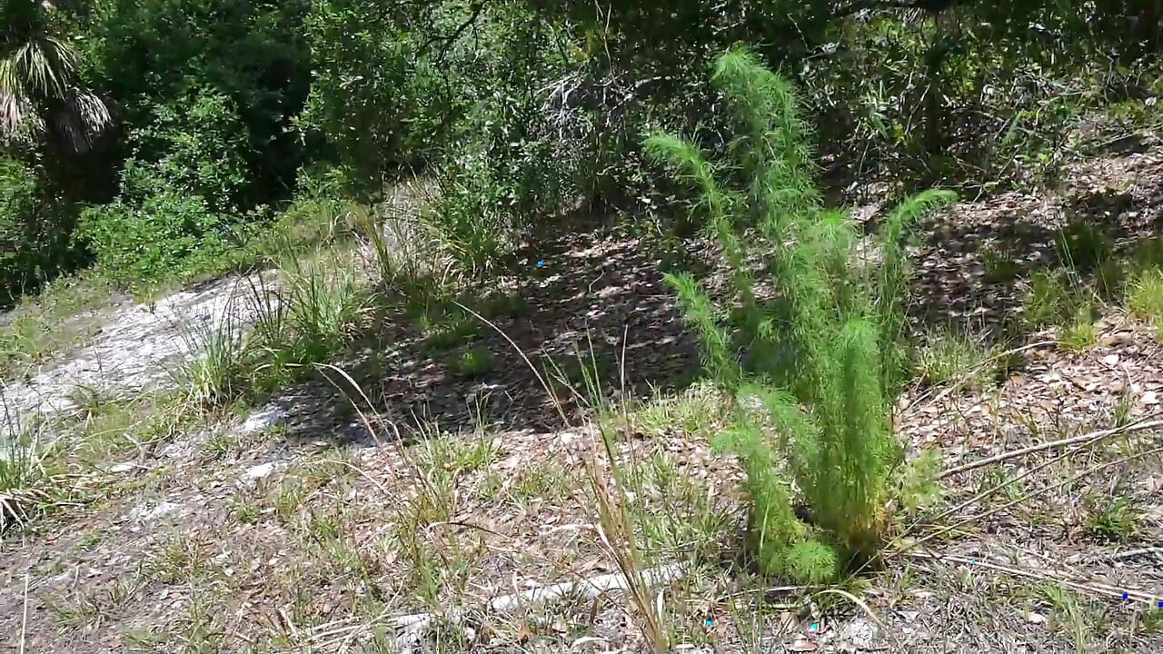 Bts Nature Walk and Masturbation on Trail