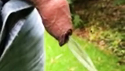 Pissen