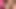 Tante seksi dengan toket besar yang dilumasi minyak lagi asik ngentot kontol besar sampai mengerang keenakan