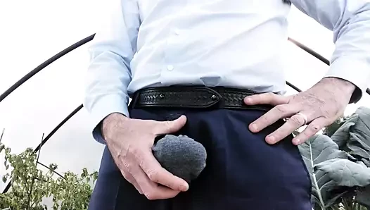Neden bir haraç alamıyorum?