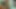 Indian daughter in law American Stepsister Romantic Video By -Snapchatenglish
