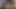 自発フェラ