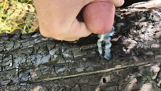 so much delicious sperm - jerking off on burnt tree