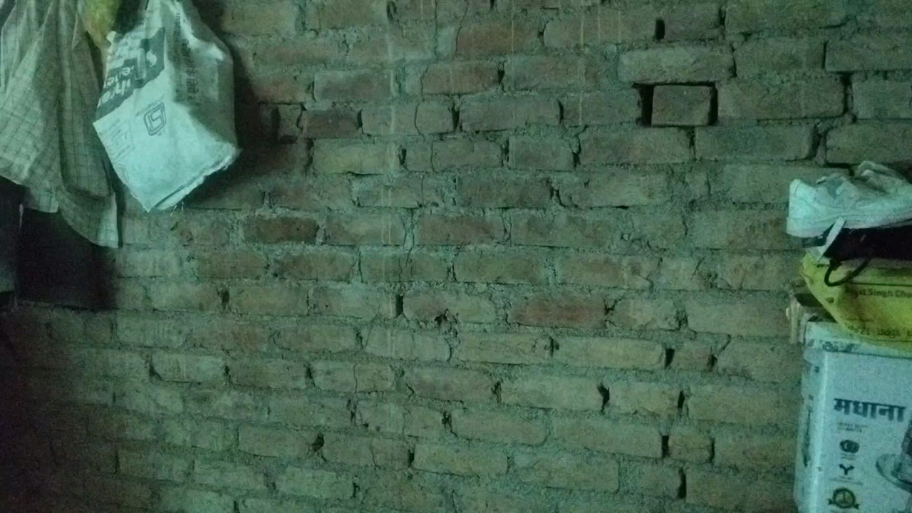Full punjabi xxx bhabhi