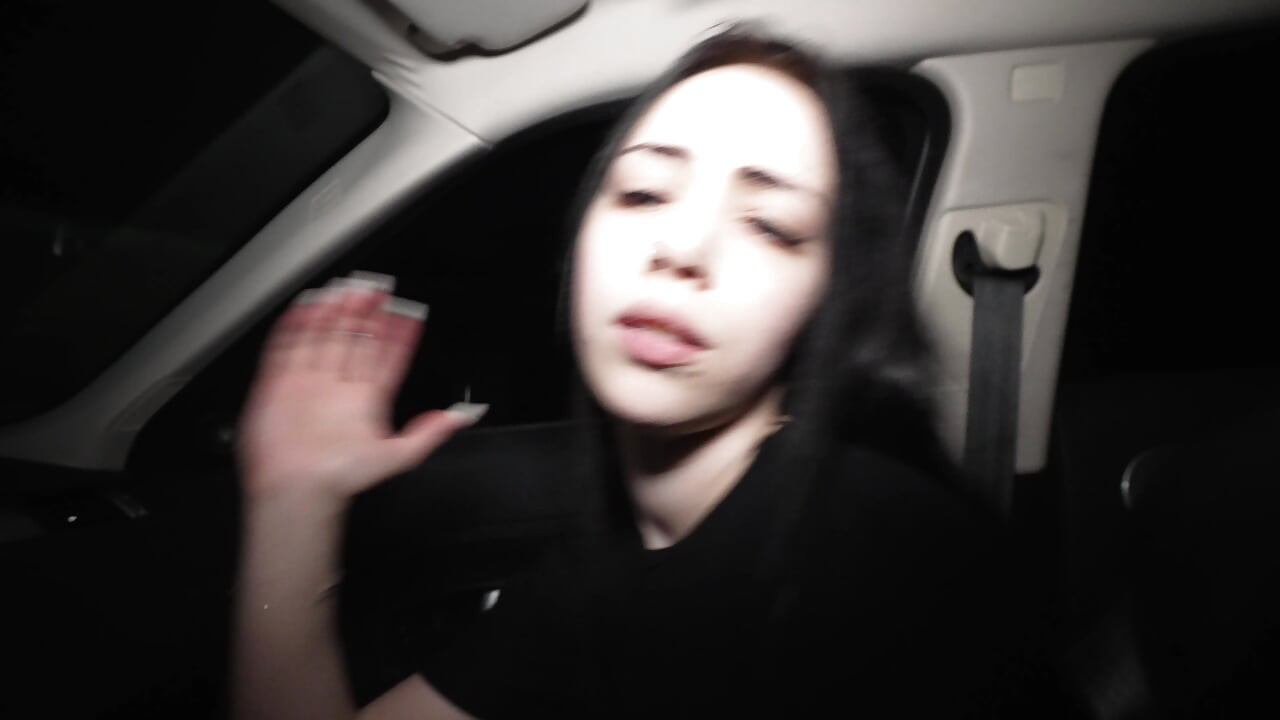 I picked up a whore on the highway and fucked her in the car at night on the street.