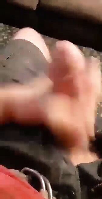 坚硬而有弹性