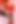 Desi Housewife with Swamiji Hordcore Fucking. Telugu Dirty Talks.