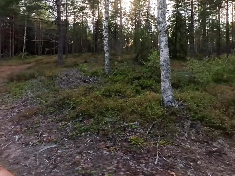 Boy wanders naked through Sweden