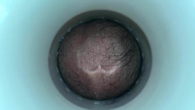 Cock inspection