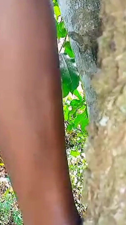 Teen Solo female masturbation with wet tight pussy in the bush, she missed hardcore fuck and enjoyed self sexual… | Clip 2