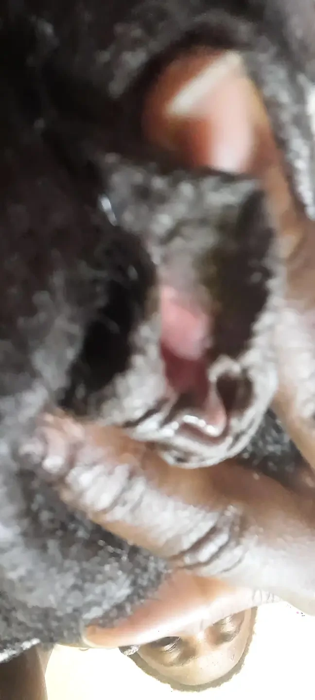 German fat hairy black pussy closeups