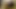Girlguru leonelle knoxville (fragman)